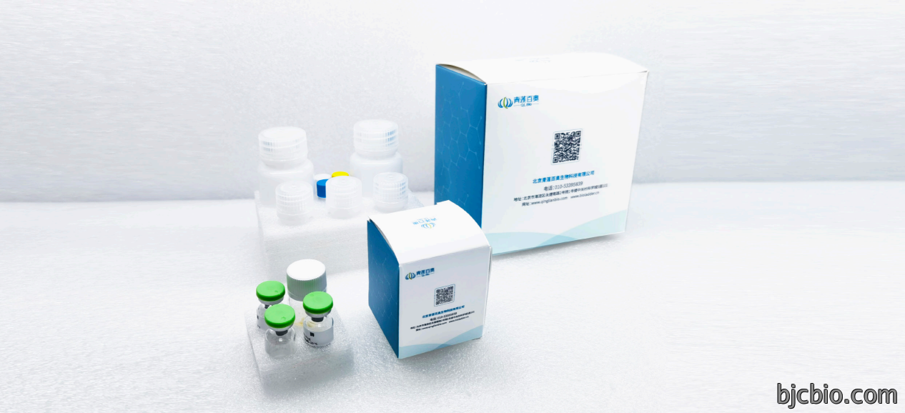 1723521205996964.png 图片1.png