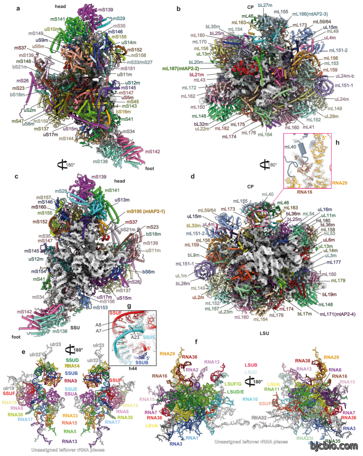 1746004298991872.png 微信图片_20250422101507(2).png