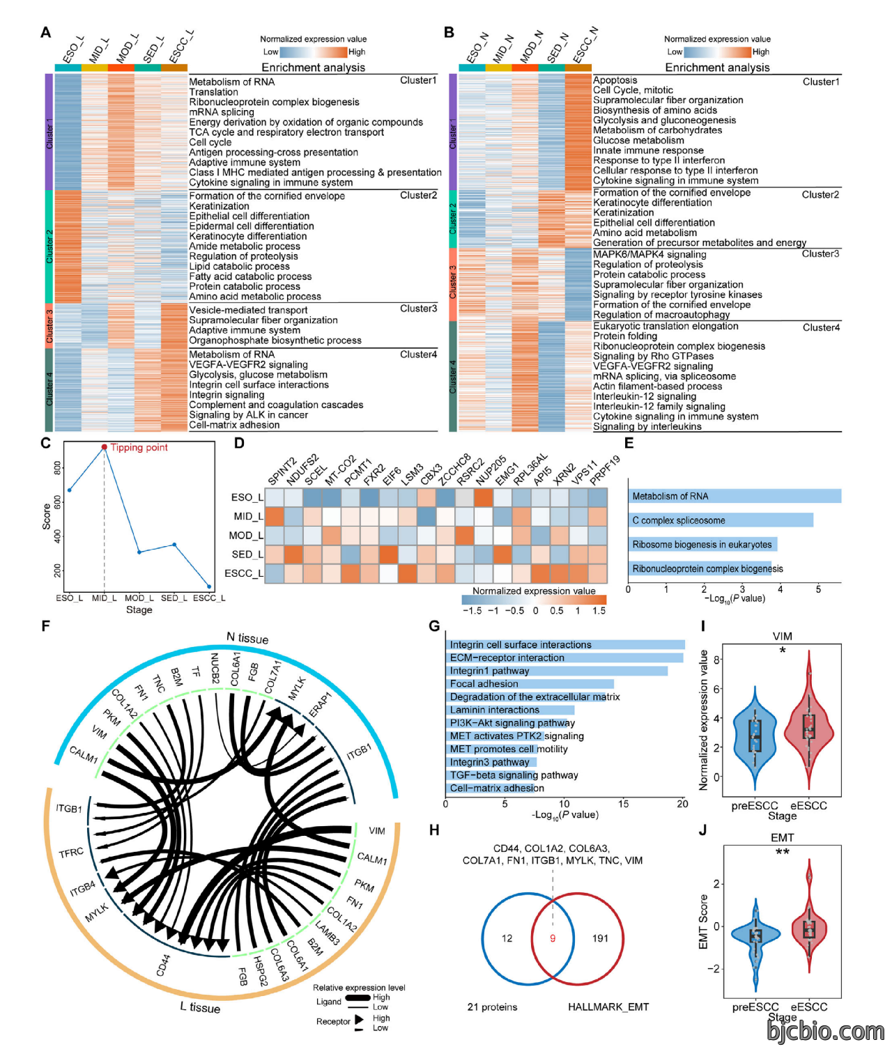 1777275834126169.png 202603-Adv Sci (Weinh)-Spatiotemporal Proteomic Mapping Reveals Early Warning Signals of Esophageal Squamous Cell Carcinoma Progression_06.png