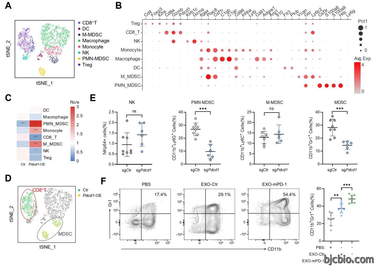 1776416800595963.jpg 1776416800595963.jpg