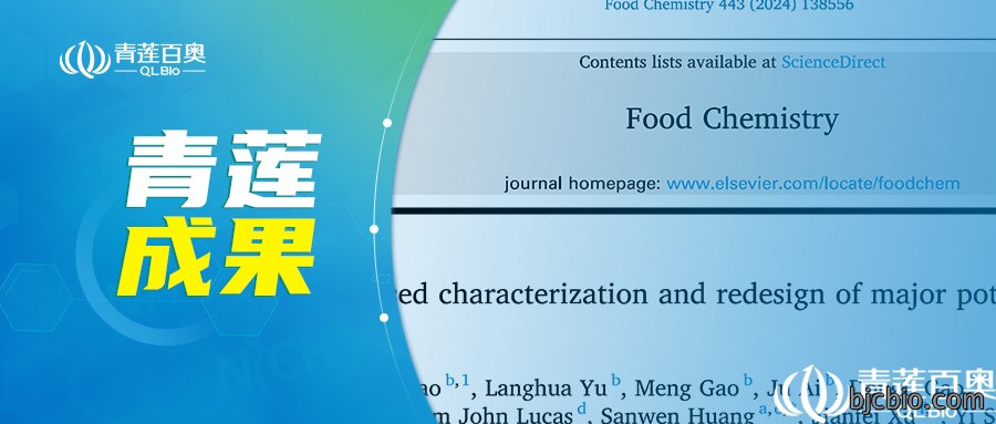 项目文章|二硫键：马铃薯面团加工的“改良密码”
